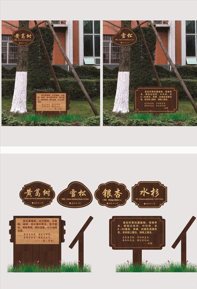 学校树名牌 学校树名简介 简介立牌 树名立牌 树名牌 异形树名牌 仿古树名牌 桂花树名牌 朴树树名牌 白玉兰树名牌 相关树名牌 香樟树名牌等