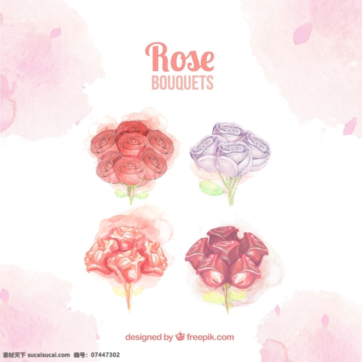 不同 类型 玫瑰 花束 玫瑰的花束 手绘花束