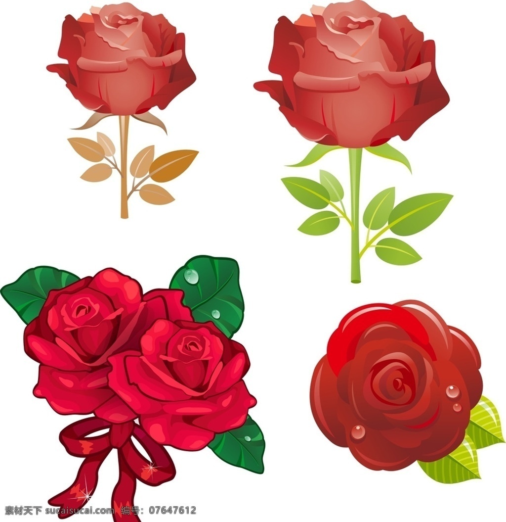 一支红玫瑰 玫瑰 花卉 花朵 鲜花 情人节 节日 玫瑰花素材 红色玫瑰 红色玫瑰花 矢量玫瑰花 红玫瑰 玫瑰花 玫瑰素材 盛开的花卉 爱情 红色 情人节素材 红玫瑰素材 矢量素材 矢量 露水玫瑰 玫瑰花朵