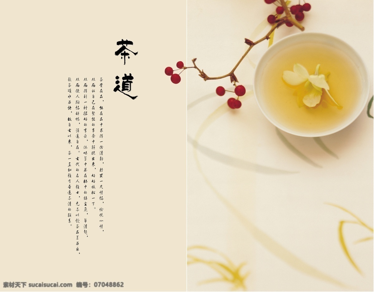 茶画册版式 psd源文件 版式画册设计 版式设计 茶道 茶画册 封面设计 画册版式 画册封面 画册设计 企业画册 宣传画册 企业画册封面