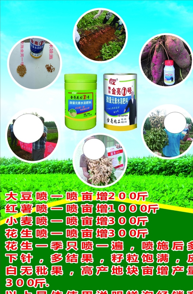 农用化肥海报 农产品 化肥 花生 红薯 小麦 增产 海报