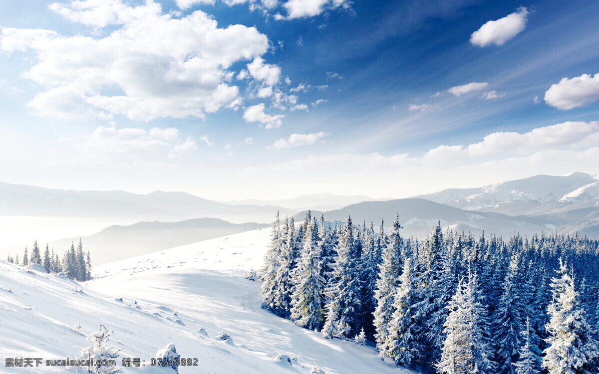 3d雪景 电视背景墙 墙 中式 装修背景墙 客厅背景墙 电视背景 沙发背景 沙发挂图 客厅挂画 客厅挂图 唯美背景墙 浪漫背景墙 山水背景墙 装饰画 清新背景墙 唯美电视墙 艺术背景墙 客厅装饰画 客厅装饰 浮雕背景墙 3d背景墙 梦幻花朵 室内背景墙 家和宝贵 背景墙