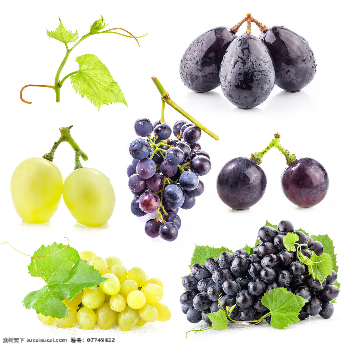 葡萄 新鲜葡萄 新鲜水果 提子 果实 水果蔬菜 餐饮美食 白色