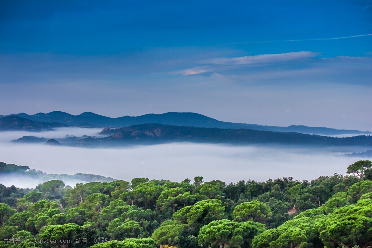 远山云雾 云 树林 森林 绿树成荫 绿色 仙境 风景名胜 自然景观 自然风景