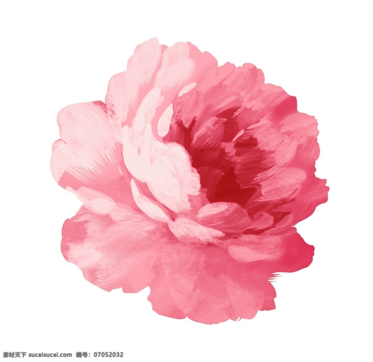 漂亮 花朵 花卉 花卉分层 漂亮花朵 漂亮花朵分层 粉红花卉 psd源文件