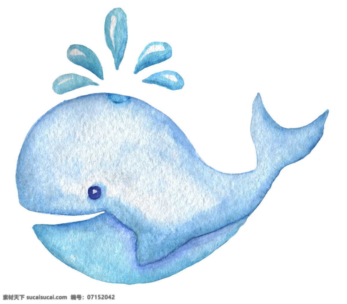 蓝色 卡通 鲸鱼 喷水 可爱 水滴 红色