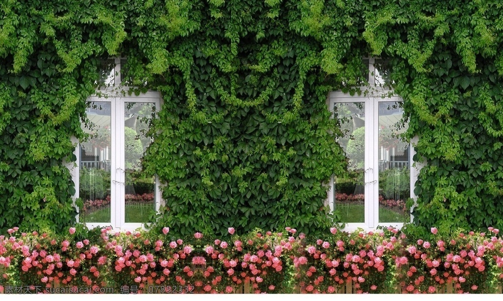 绿色植物墙体 绿植 绿植墙 绿植墙体 绿植背景 窗台 桁架背景 舞台背景 蔷薇花 蔷薇 爬山虎 绿色植物 藤蔓 藤条 窗户 欧式窗户 孤形窗户 后花园围墙 冷餐背景 冷餐区域 花园背景 唯美墙体 绿色植物墙面 展板模板