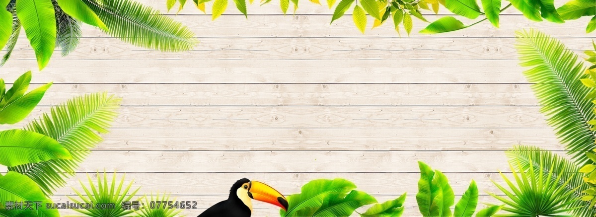 热带雨林 广告 背景 夏天 椰树 绿色 鹦鹉 质感 木制纹理 banner h5