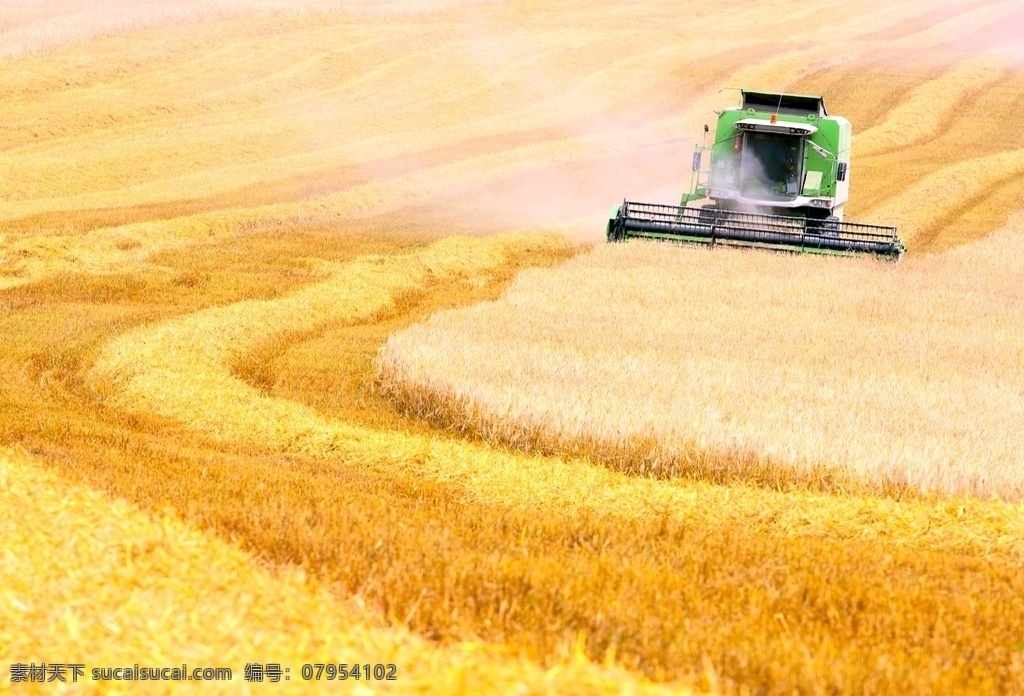 收割 玉米收割机 小麦收割机 稻米收割机 农用机械 丰收 农业机器 现代科技 交通工具