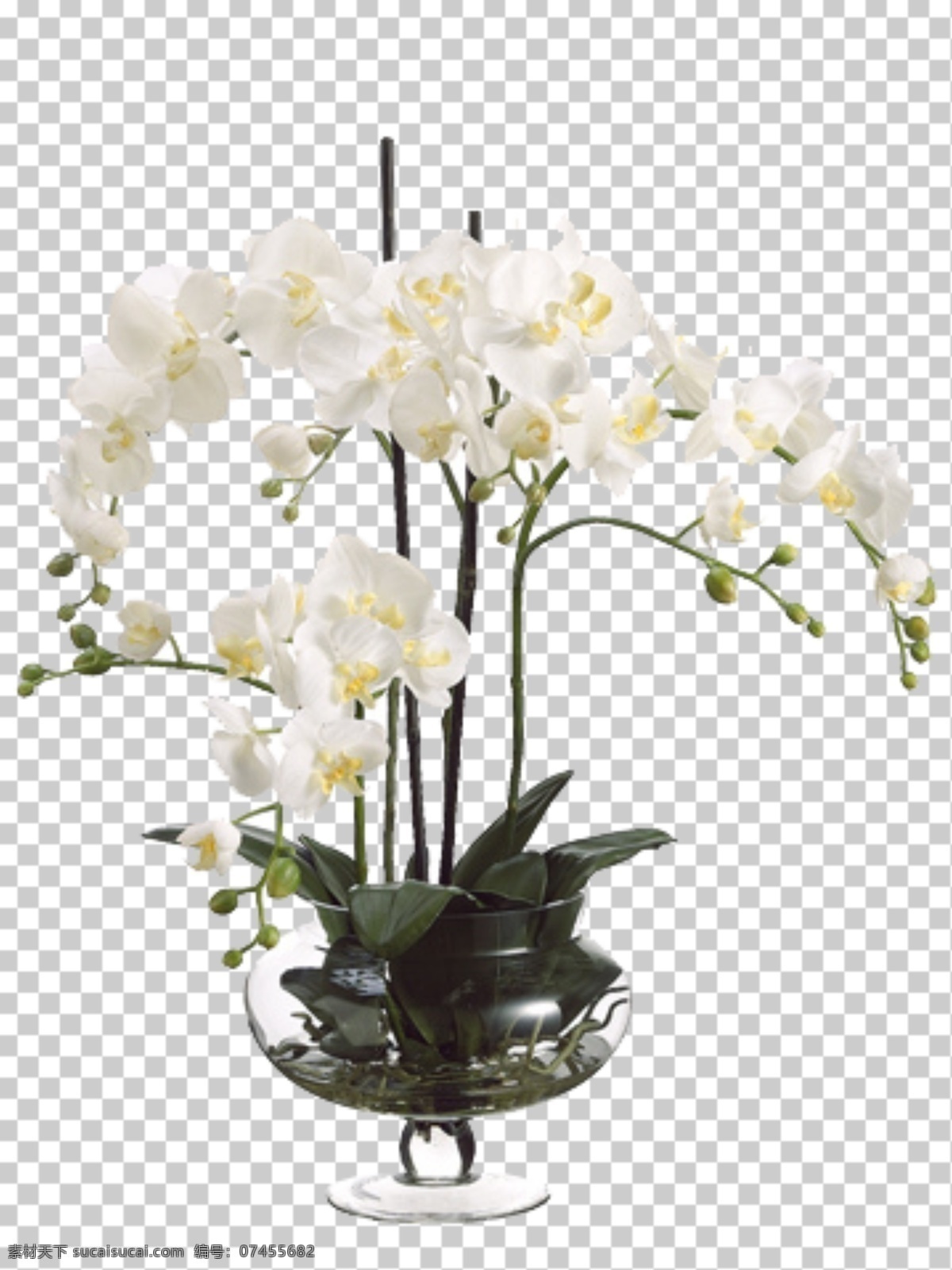 透明底花艺 绿植 摆件 桌花图片 桌花 免抠图 花 花艺 分层图 图层 花艺透明底 分层
