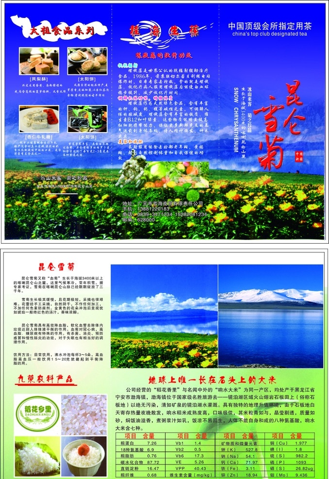 昆仑雪菊 3折页 蓝色 矢量