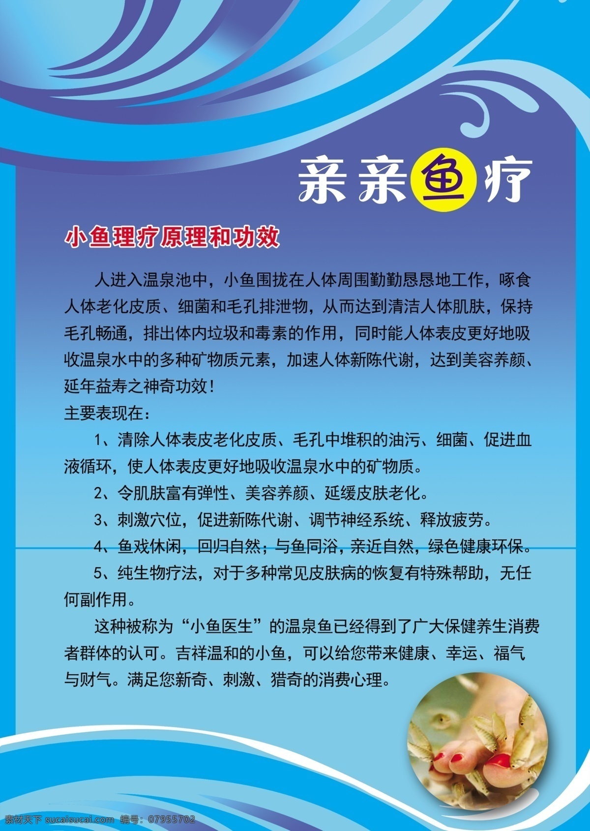 亲亲鱼疗功效 亲亲鱼 鱼疗功效 亲亲鱼效果 亲亲鱼作用 鱼疗馆