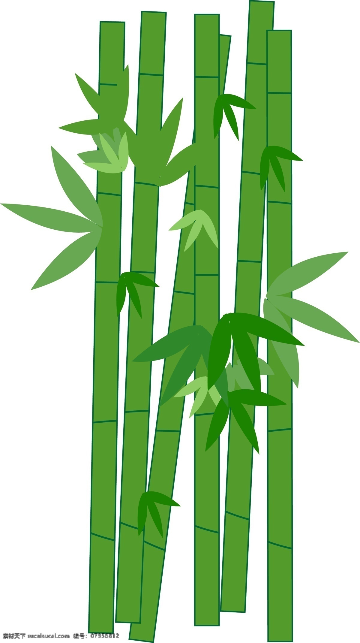 片中 国风 竹林 矢量图 竹子 竹叶 森林 环保 端午节 林 一排 竹排 绿色 png免抠图 可爱