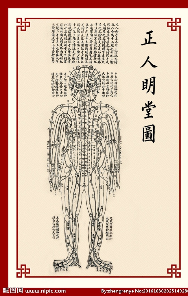 正人明堂图 明堂图 针灸明堂图 中医展板 中医养生展板 传统的 招贴设计