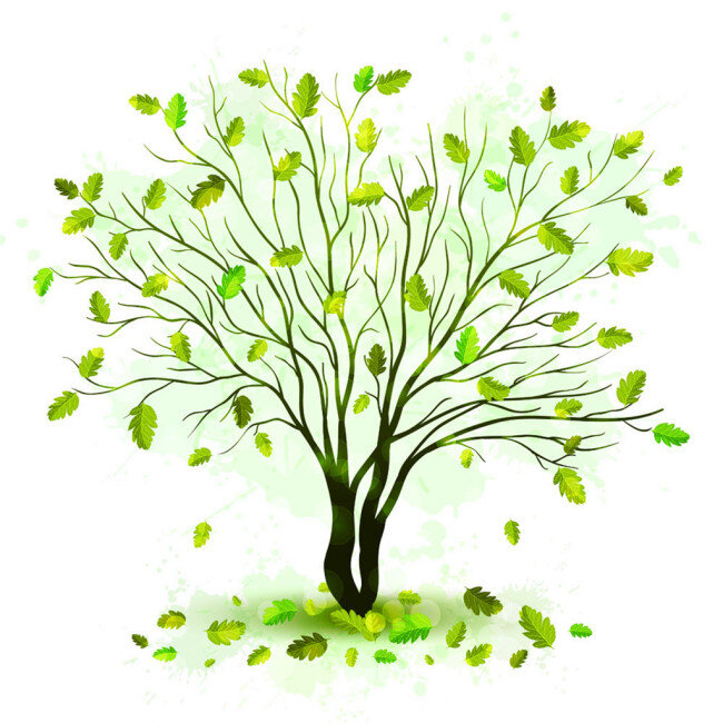 落叶和绿树 手绘绿树 手绘卡通树木 绿色树木 树木插画 植物插画