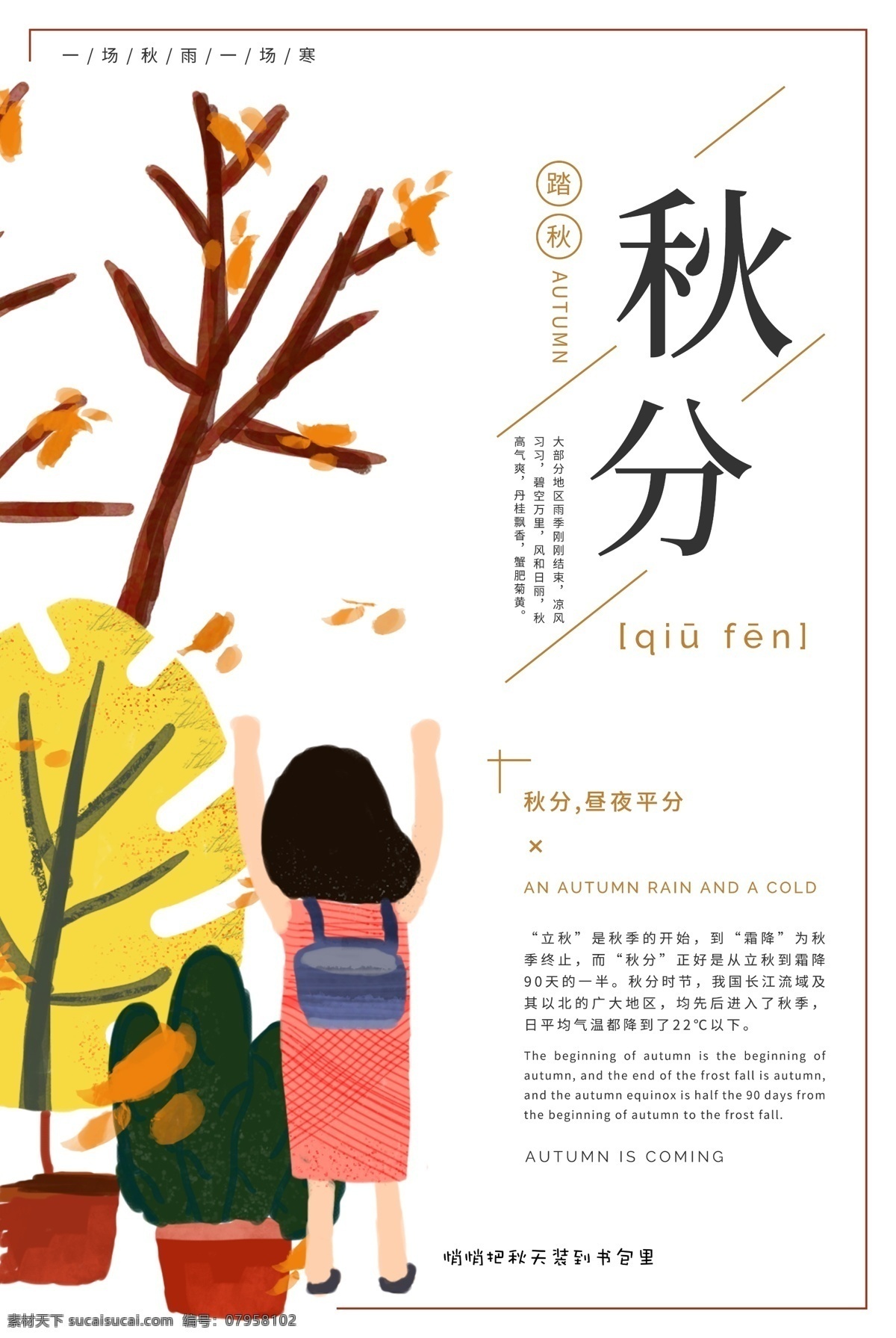 二十四节气 之秋 分 海报 秋分 秋分海报 24节气 农历节气 节日节气 传统节日 农历节日