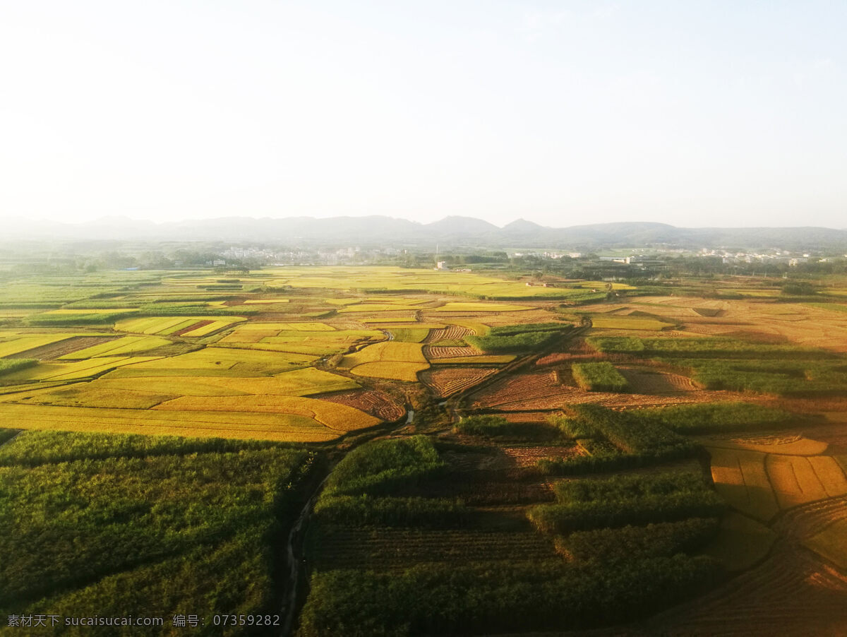 高空 俯视 秋天 金色 农田 秋色 农民 金黄色 丰收 绿色 对比 高空俯视 自然景观 自然风景
