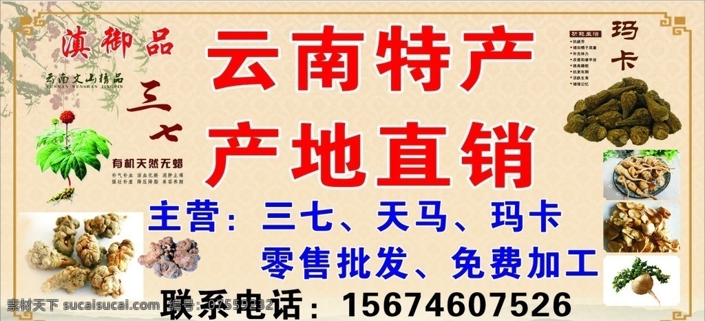 三 七 云南 特产 招牌 三七 云南特产 三七门头招牌 产地直销 天麻 玛卡 药材 中药材 淡黄色背景 三七图片 玛卡图片 黑玛卡 招牌门头 展板模板