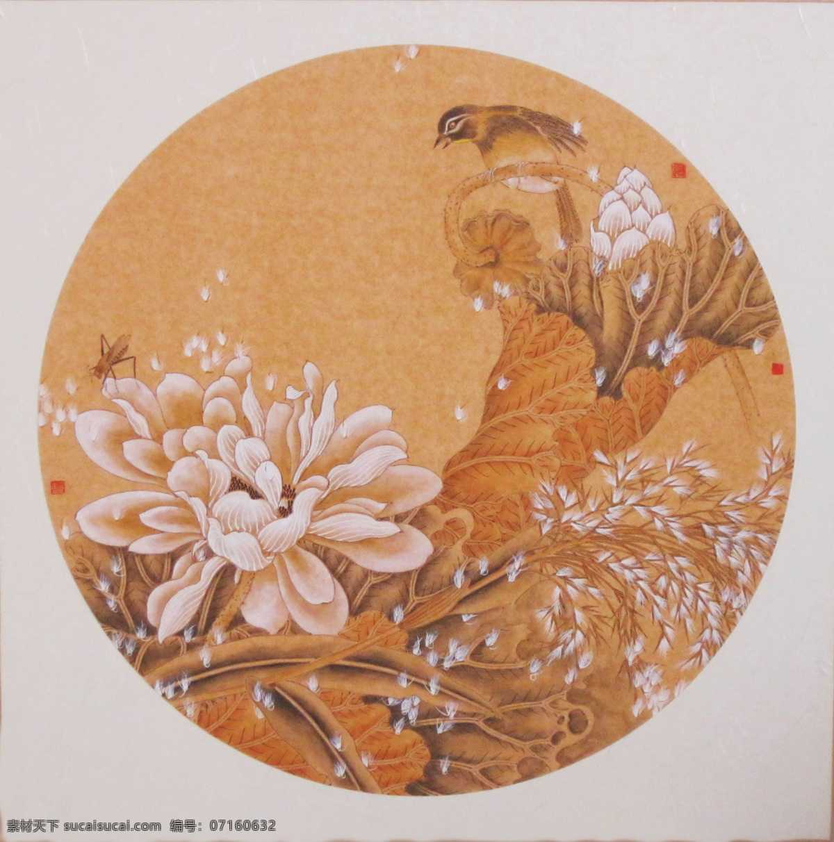 荷花扇面 国画 工笔 花鸟 花鸟画 工笔花鸟画 花鸟国画 扇面 艺术绘画 文化艺术 绘画书法