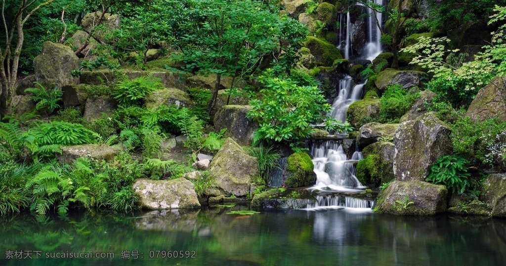 山涧溪流 山涧 溪流 石山 绿树 水池 瀑布 自然景观 自然风景