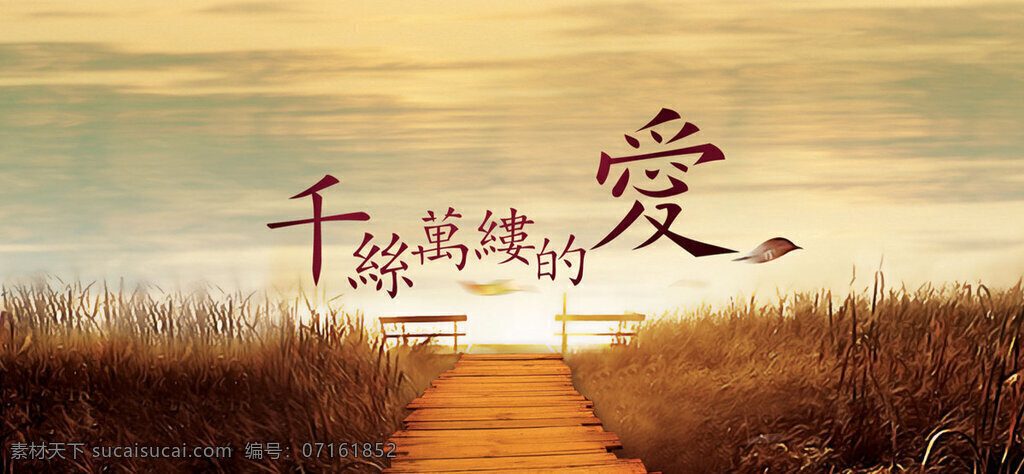 浪漫 爱情 婚纱 背景 背景图片 唯美 小清新 图片大全 海滩 黄色