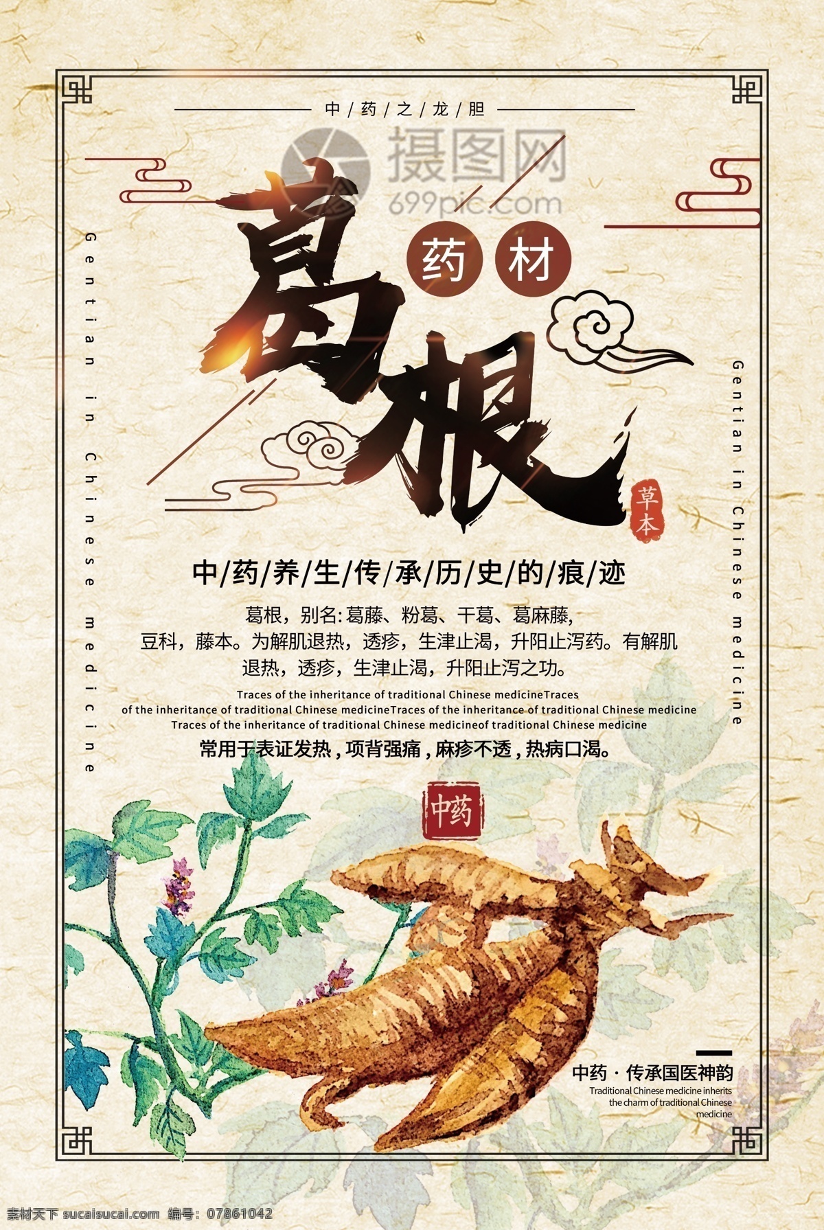 中国 风 中药 葛根 药材 海报 中国风 治疗 疗效 草本 医药 草药 中草药 医治 古法 研究 记载 葛根海报设计 中药葛根设计