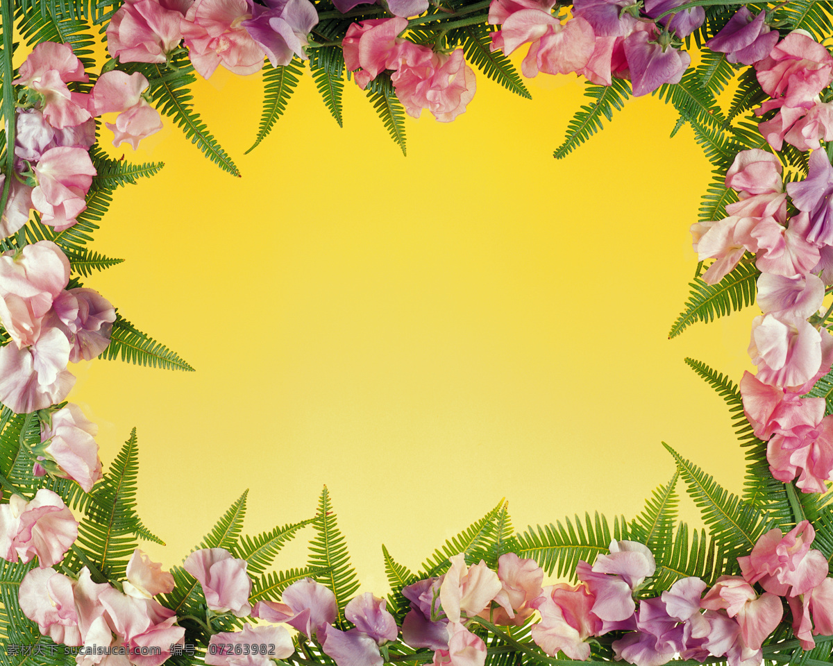 花纹 花边 边框 粉红色 红色 红色花瓣 花 花瓣 花边素材 绿色 浪漫的模型 相框 鲜花 绿色花瓣 底纹边框