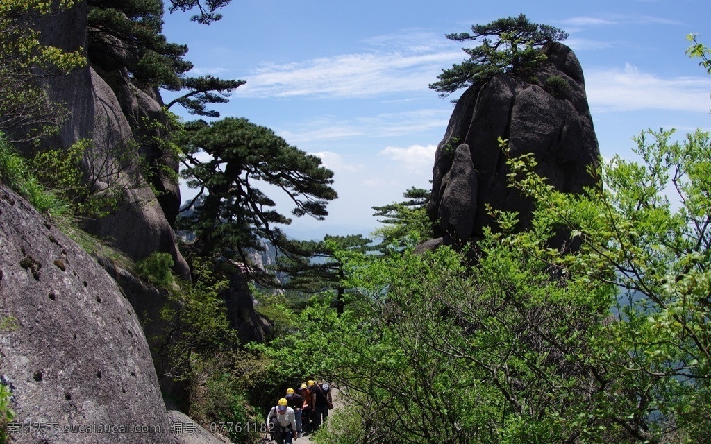黄山松 安徽 黄山 春游 奇松 怪石 松树 组合 山峰 莲花峰 峰顶 小景 似探海松 国内旅游 旅游摄影