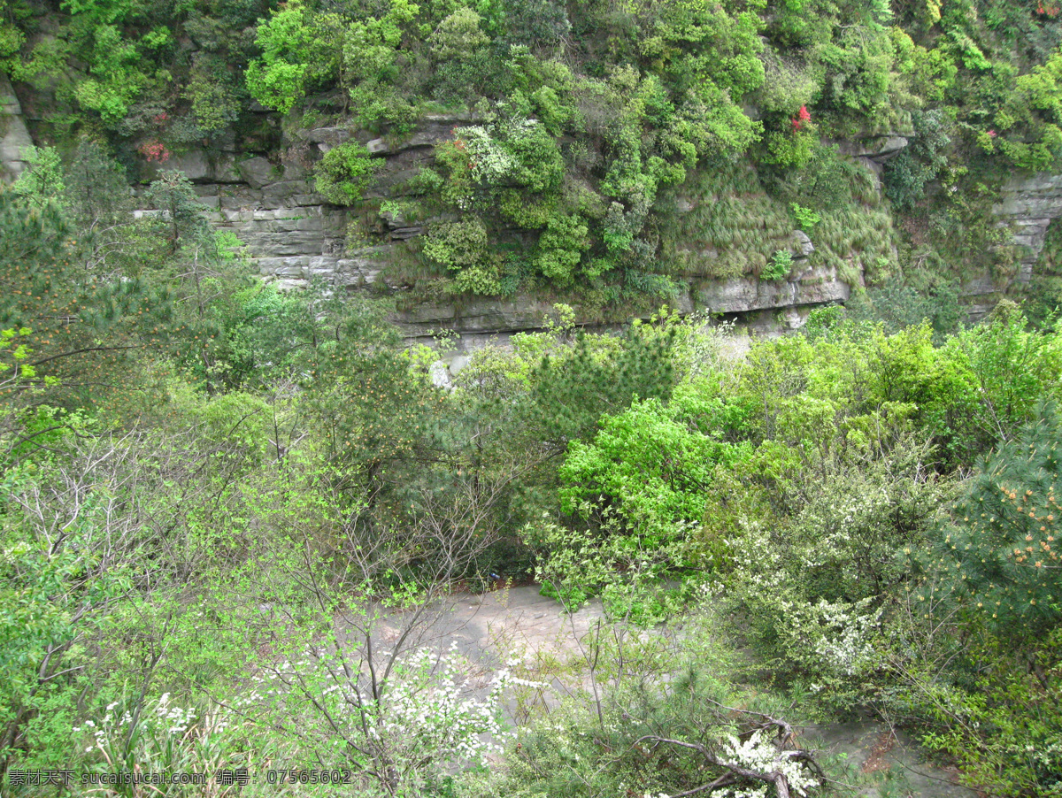 庐山风景 绿色植物 山峰 山峰景色 山林 山水风景 山水风景图片 树 树林 树林风景 庐山群山 群山连绵 群山缭绕 庐山景色 家居装饰素材 山水风景画