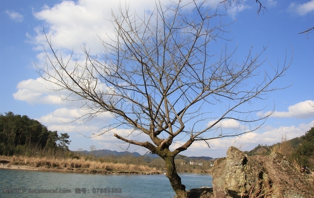 浙江 缙云 仙都 水边 枯树 缙云仙都 风景 景区 天空 山峰 树林 蓝色 照片 自然景观 山水风景