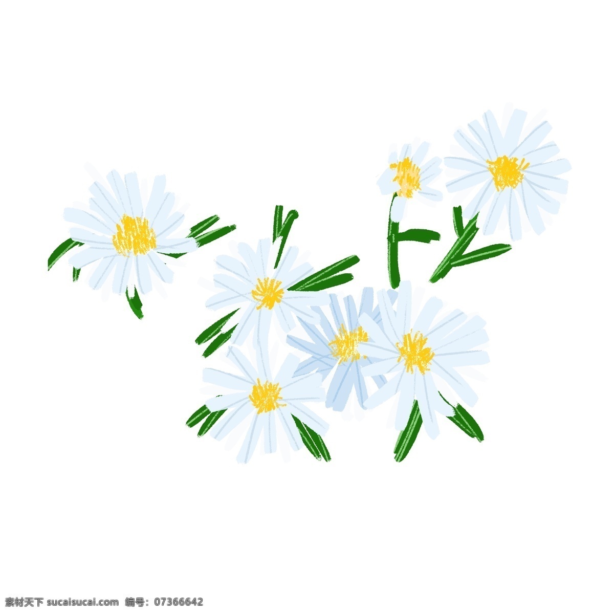 手绘 清新 唯美 小雏 菊 菊花 雏菊