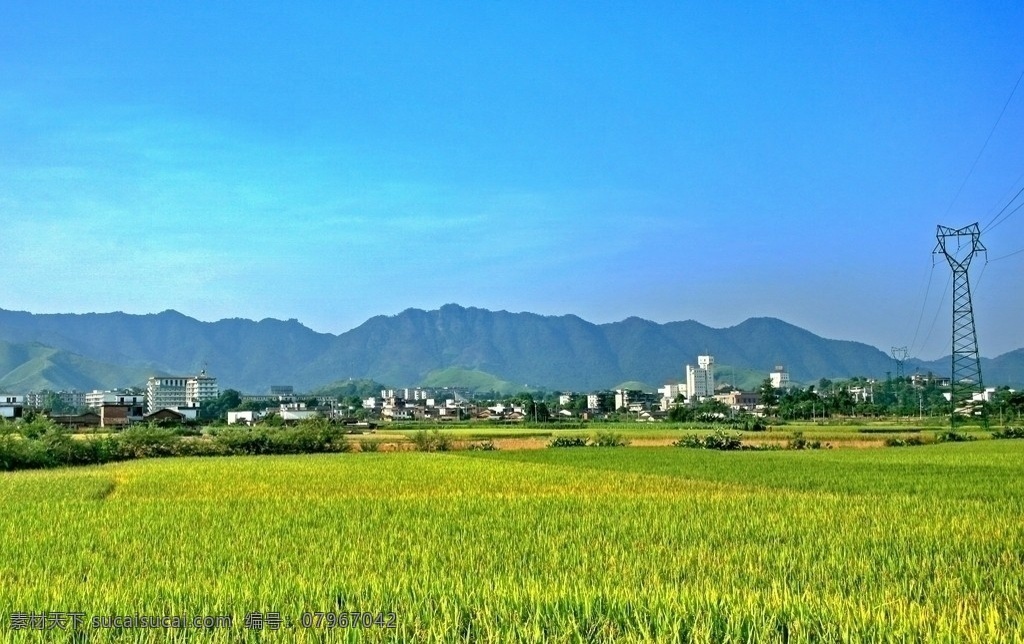 三毛夫示范点 田野 水稻 水田 绿化带 山峦 建筑 楼房 电塔 蓝天 高清图片 田园风光 自然景观