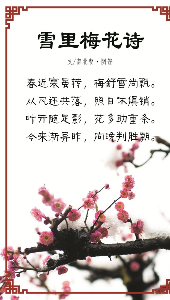 雪里梅花诗 梅花 梅 梅花诗歌 梅诗歌