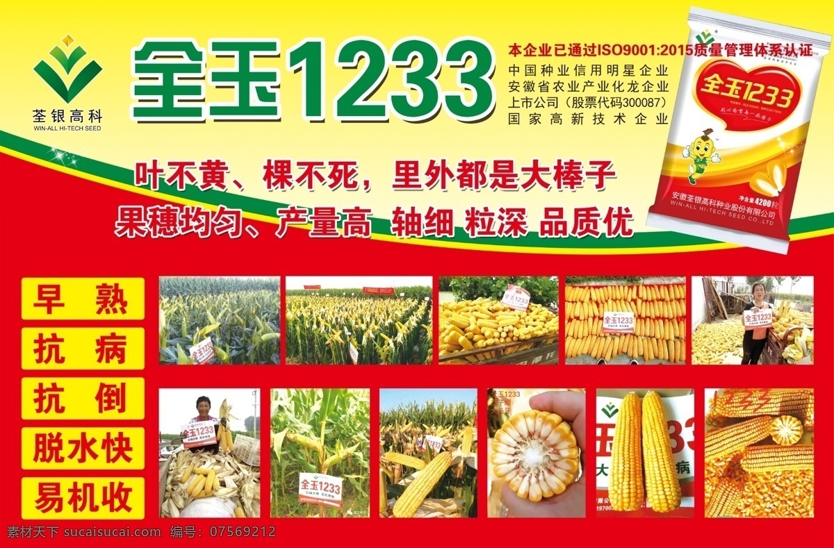 全玉1233 玉米广告 玉米种 全玉 种子广告 室内广告设计