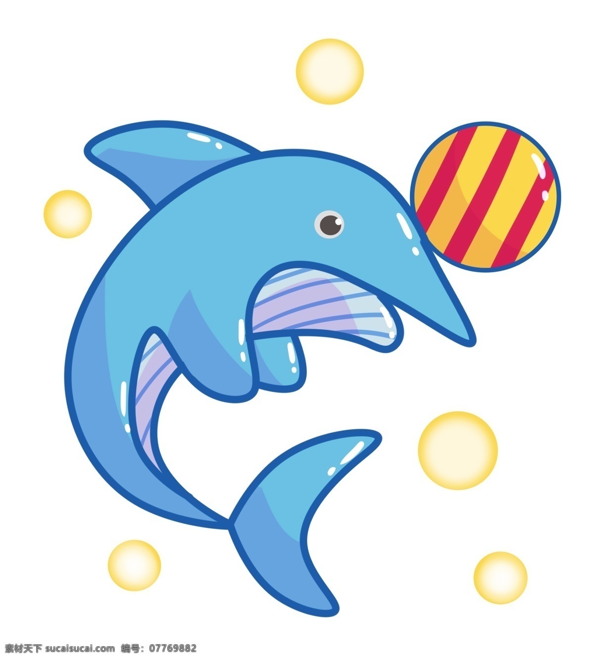 玩球海豚 水生物 海洋生物