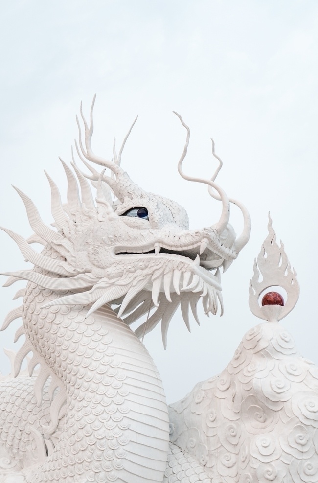 雕塑 龙 白色 背景 传神 艺术 欣赏 美术绘画 文化艺术
