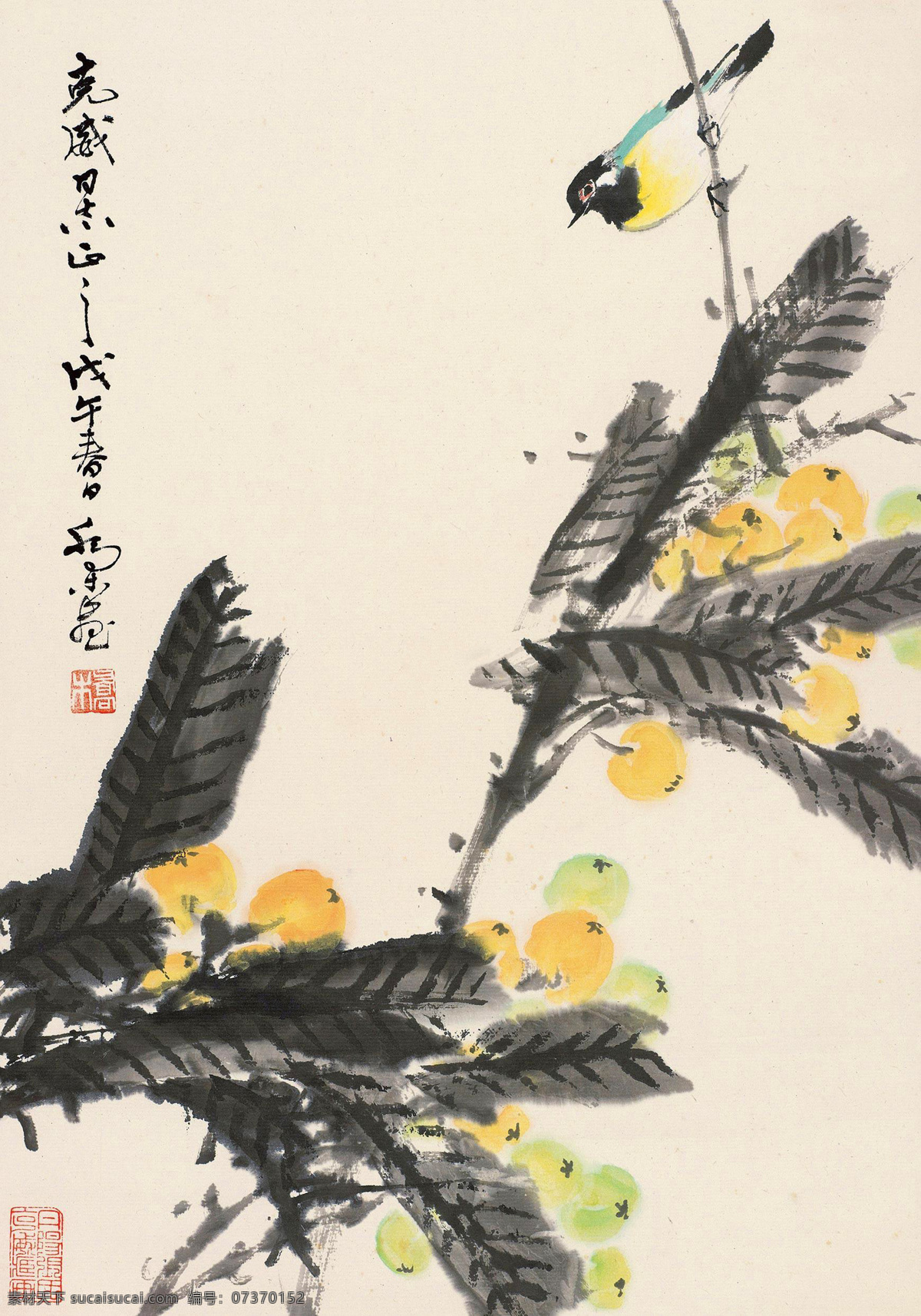国画 花鸟 绘画书法 枇杷 文化艺术 小鸟 花鸟设计素材 花鸟模板下载 乔木 金果 雀儿 国画乔木