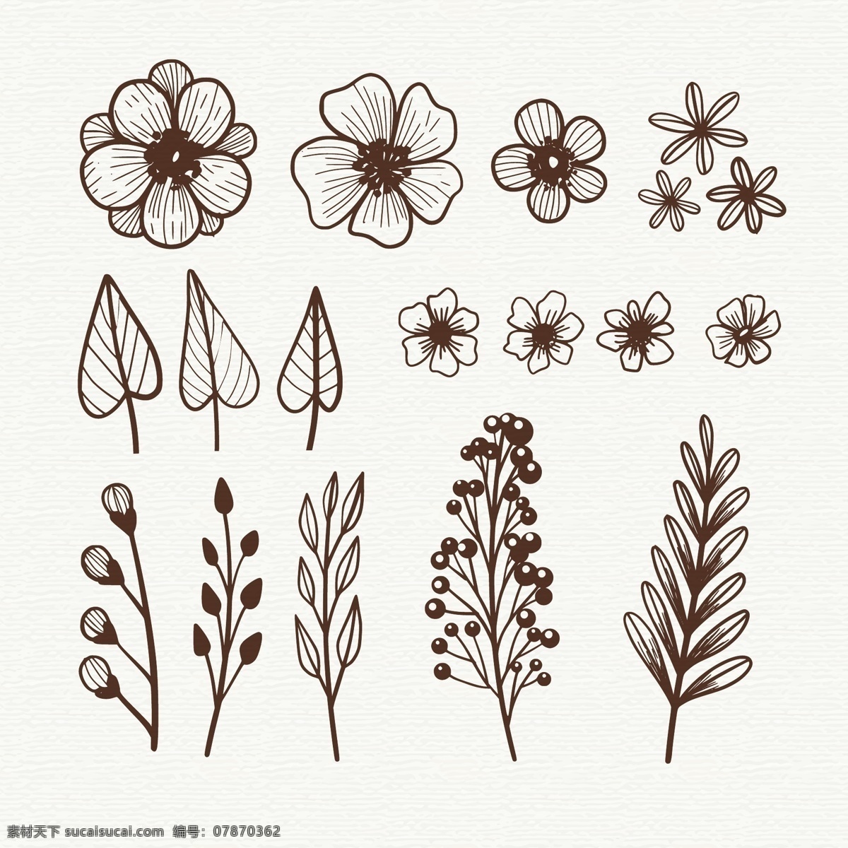 手绘 素描 风格 花卉 元素 线描 线条 自然 叶 装饰性