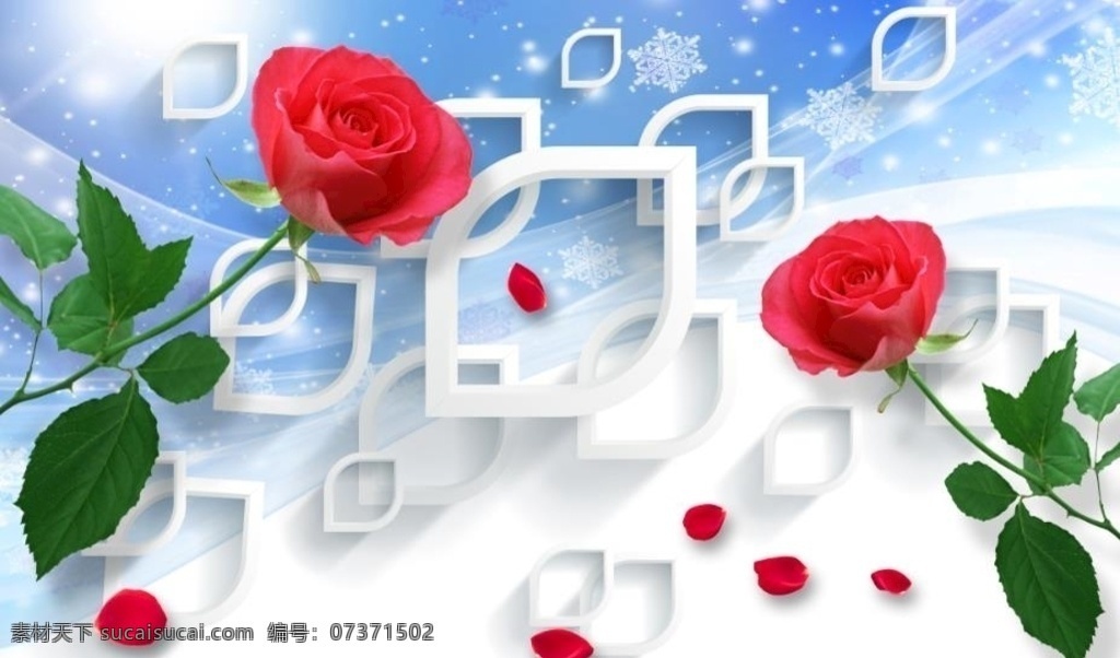 红玫瑰 立体花朵 家和富贵 花开富贵 方框
