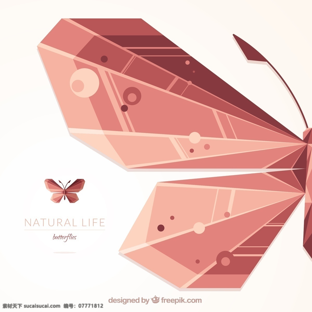 蝴蝶背景 背景 抽象的 几何 蝴蝶 自然 动物 翅膀 多边形 性质 昆虫