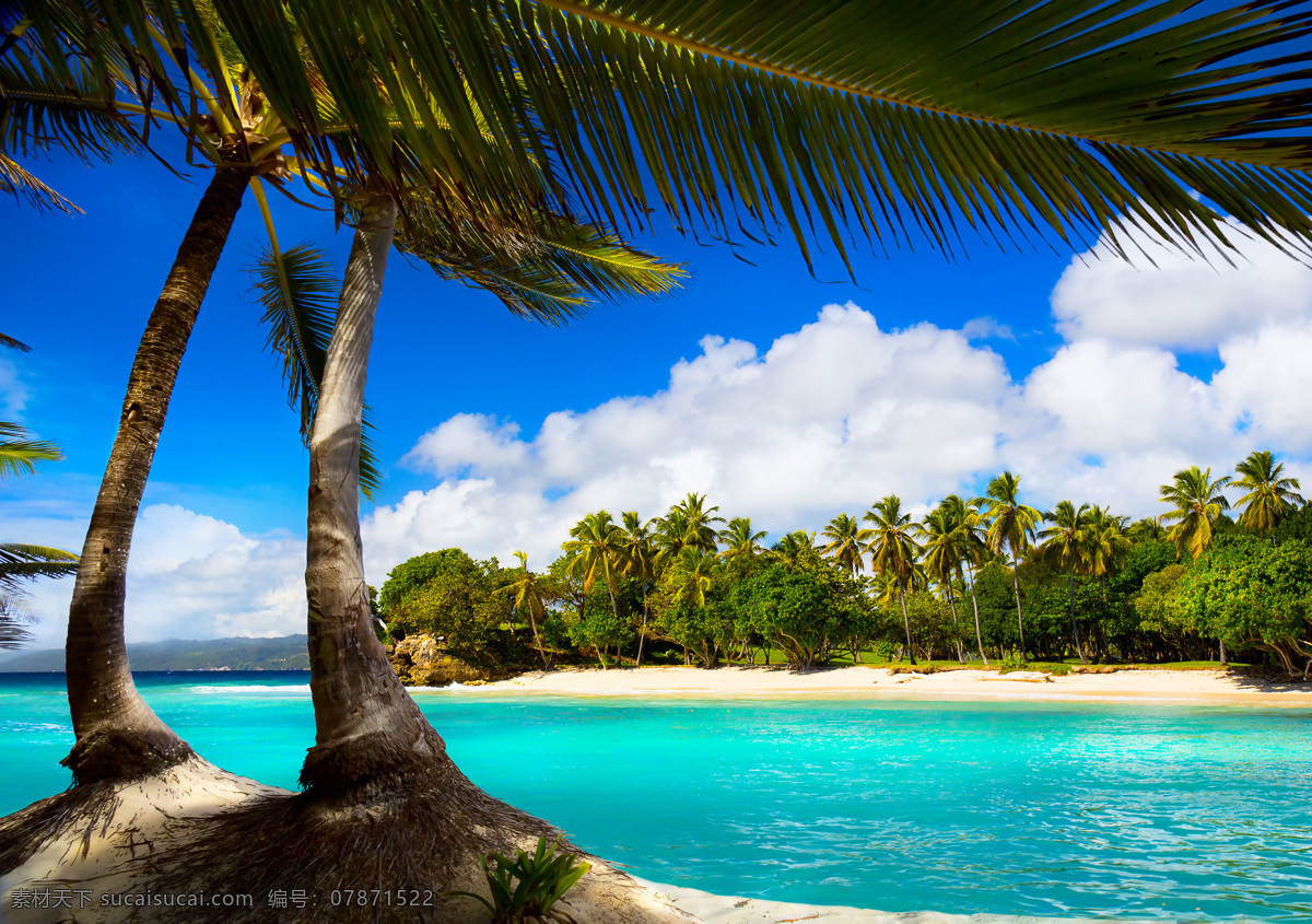 蓝天 白云 河流 背景 蓝天白云 热带风光 湖水 椰子树 风景图片