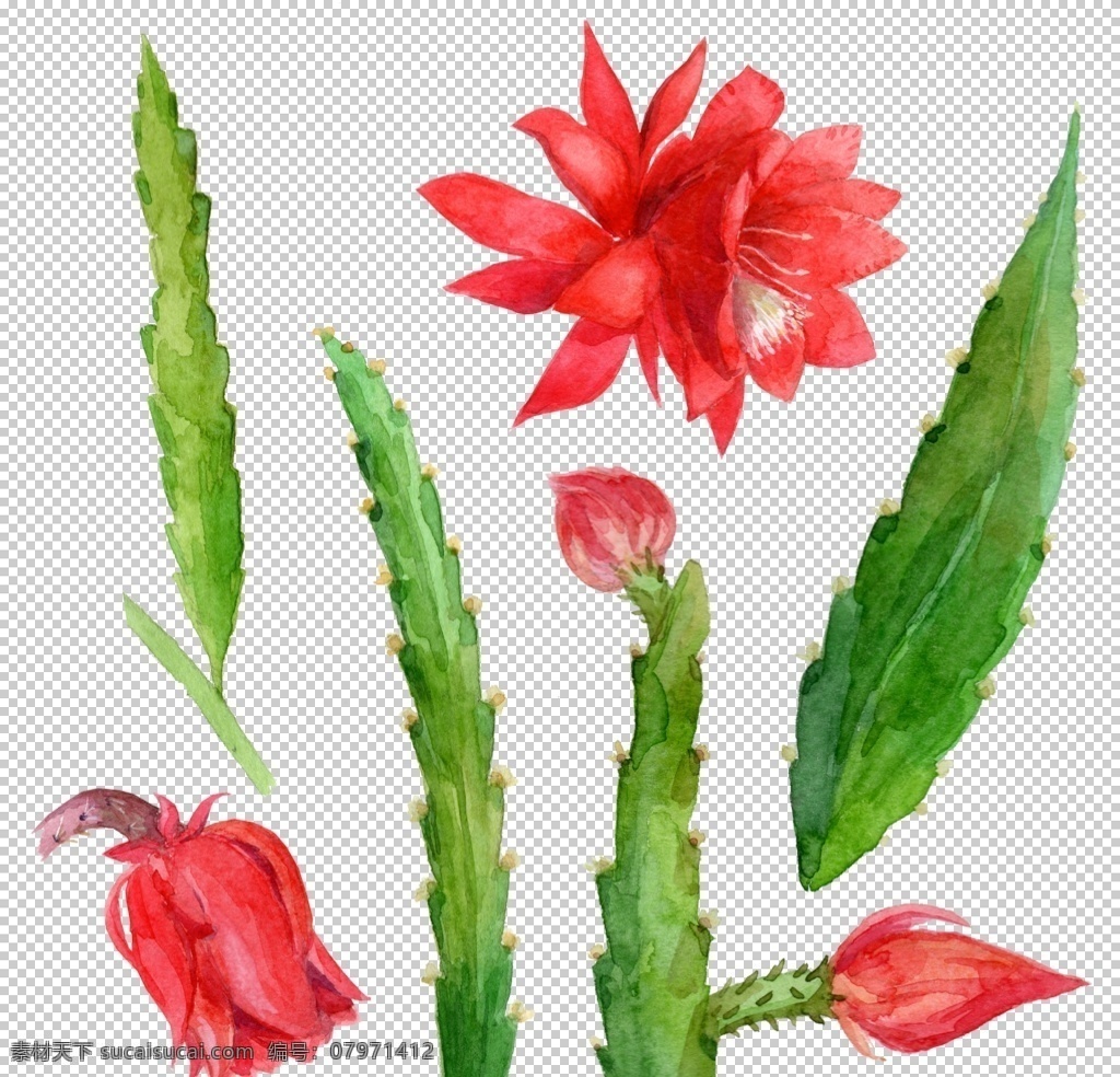 手绘花瓣 手绘花朵 花朵 手绘花 花簇 花团 花瓣 一枝花 花枝 花 水彩花朵 水彩花瓣 鲜花 鲜花图案 紫色花朵 红色花朵 玫瑰花 玫瑰 彩色花团 彩色捧花 小草 小杂草 小树叶 竹 植物 文化艺术 绘画书法