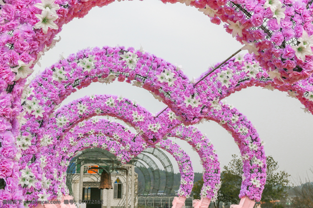 紫色 月季花 心形 过道 紫色过道 花拱门 百合月季拱门 拱门 花走廊 旅游摄影 国内旅游