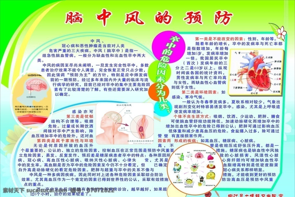 脑中风的预防 脑中风 预防 板报 矢量
