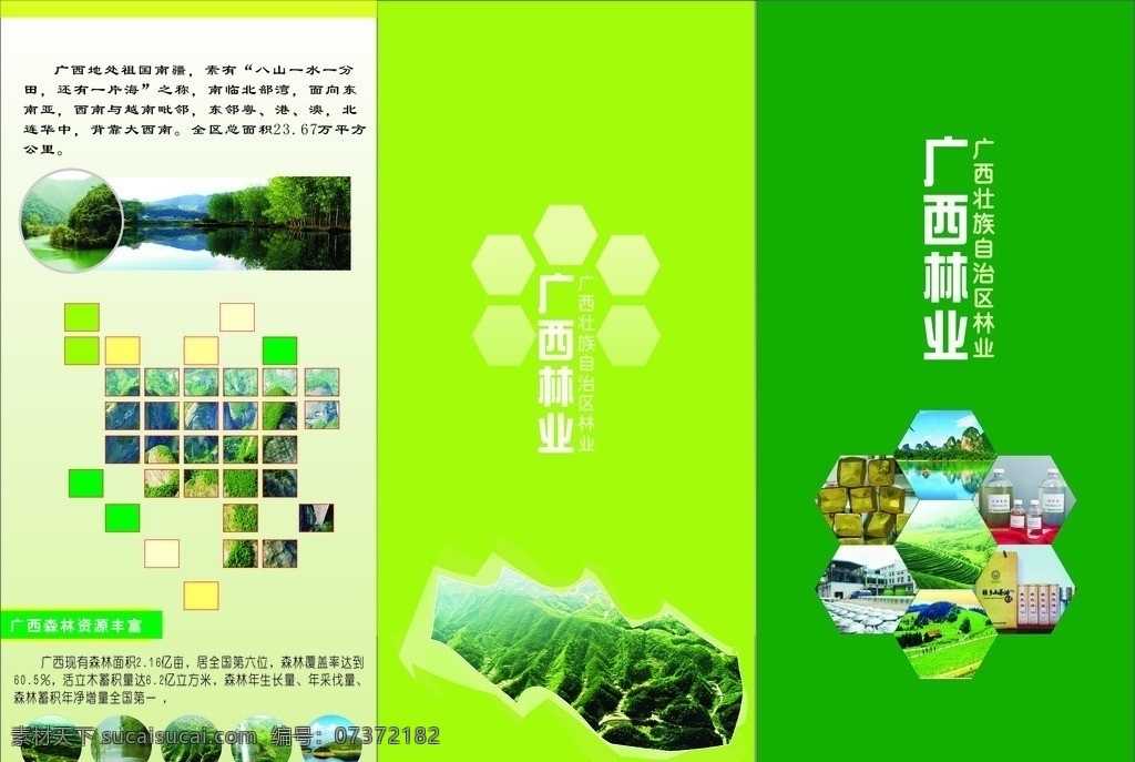 广西林业折页 折页矢量素材 折页模板下载 黄色折页 折页 画册设计 矢量