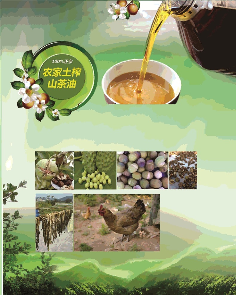 茶子油 茶仔 茶仔叶背景 背景图 山的背景 颜色 渐变色 花 茶果 茶油等 宣传单
