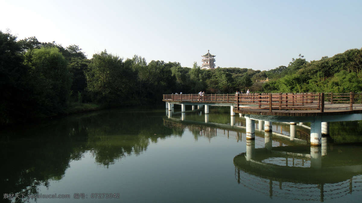 南湾湖茶岛 信阳 南湾湖 小千岛湖 茶岛 风景 旅游摄影 自然风景