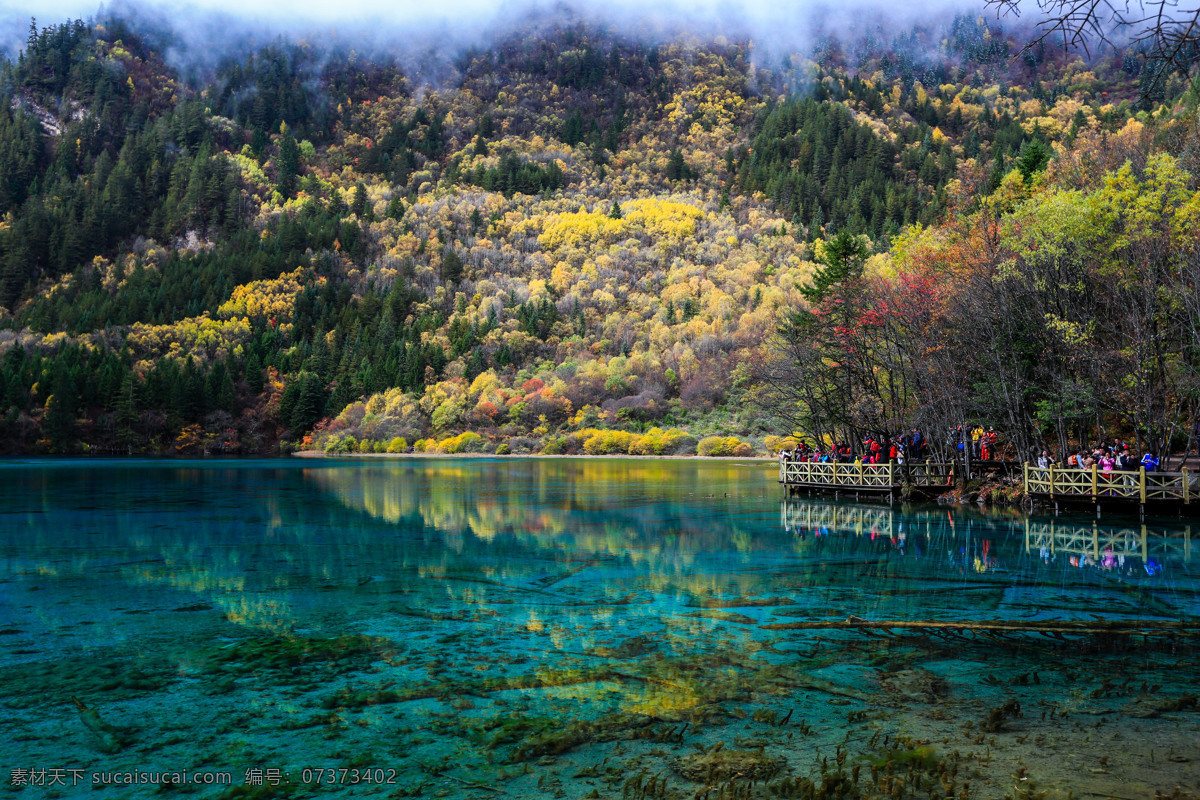 九寨沟五花海 四川 秋天美景 倒影 湖水 清澈 黄叶 海子 九寨精华 五花海 九寨沟 风景名胜 山水旅游摄影 国内旅游 旅游摄影