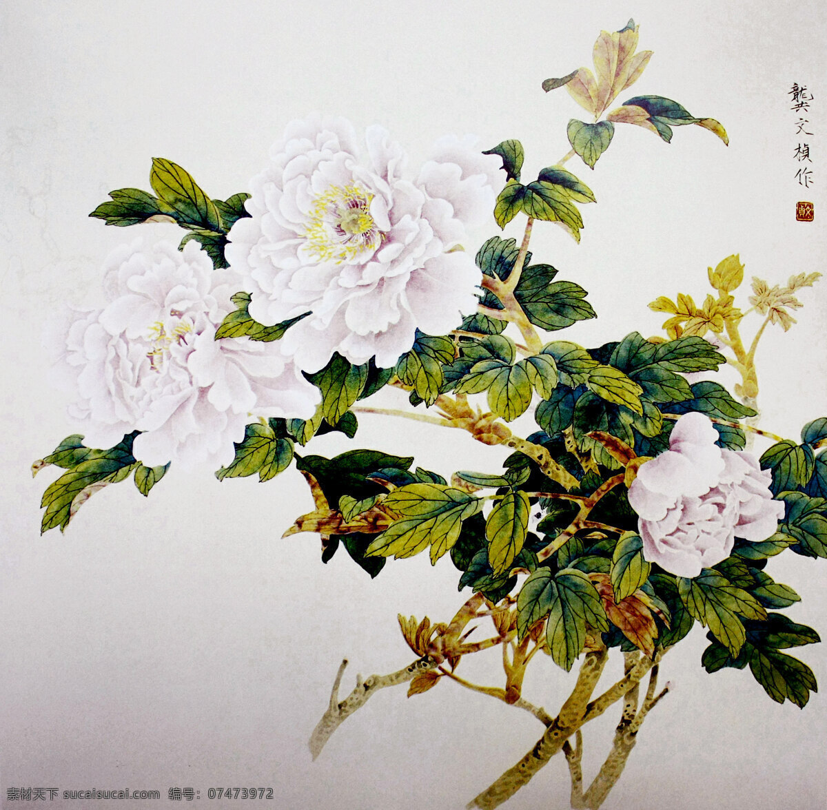 彩墨画 芬芳 国画艺术 花卉画 花木 花香 绘画 绘画书法 清香图 中国画 现代国画 牡丹花 白牡丹 叶子 浓艳 书法 印章 国画集22 文化艺术 家居装饰素材 雕刻 图案