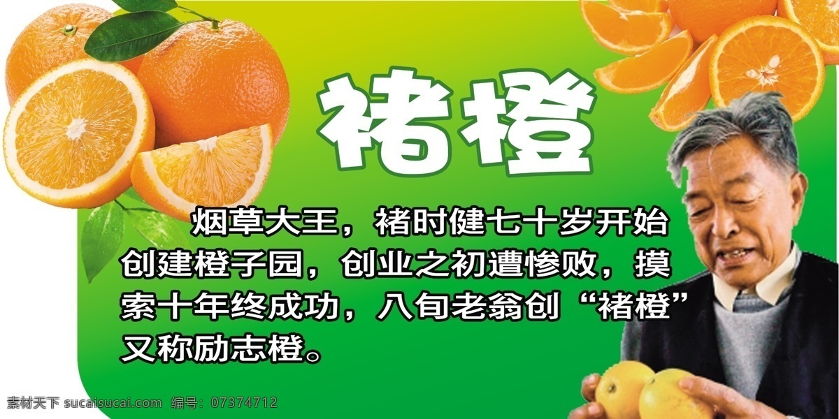 褚橙 橙子 异形 水果 橙子介绍 绿色